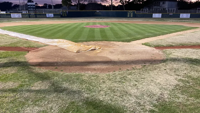 Pearland Little League Infield Grass Protected by CoverSports Growth Cover in Early Season
