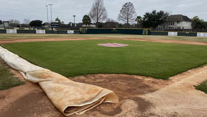 Pearland Little League Infield Active Grass Growth in January Using CoverSports Growth Cover