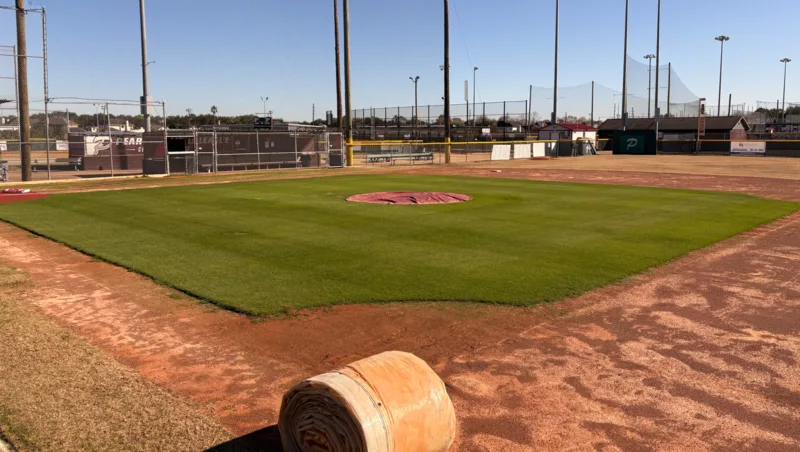 Pearland Little League Game-Ready Infield After CoverSports Growth Cover Winter Program