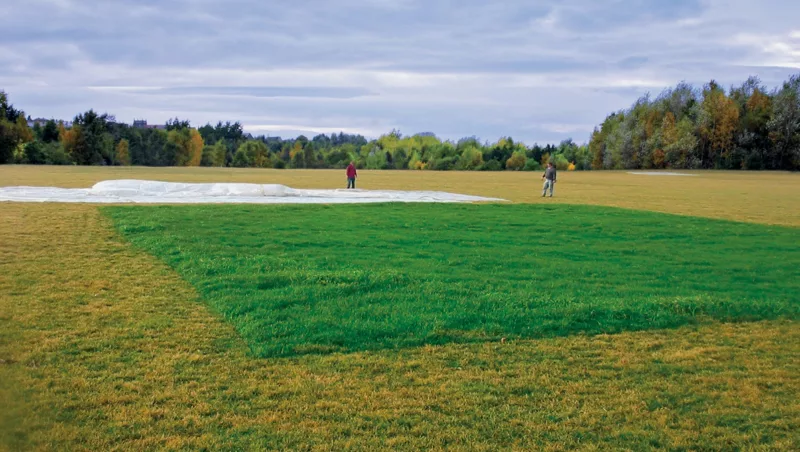 Penn State Valentine Turfgrass Research Center field trial: covered plots stay vibrant green while uncovered turf goes dormant