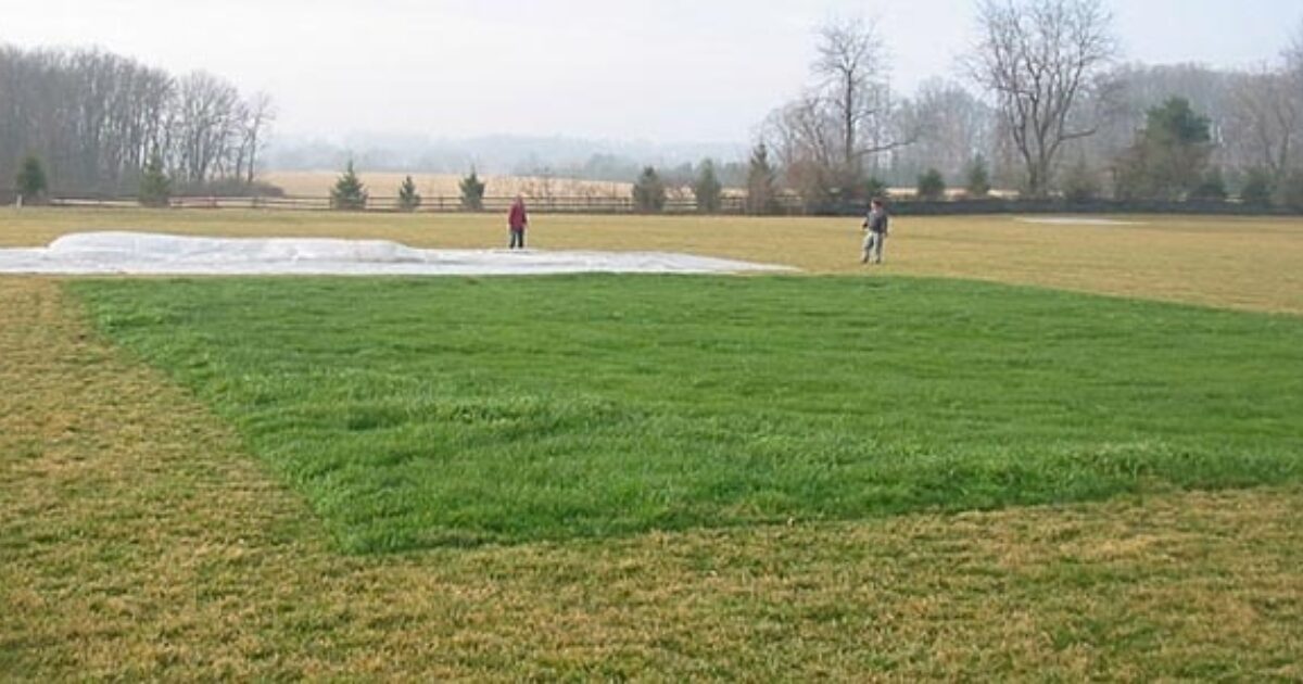 FieldSaver Winter Turf Blankets / Growth Covers CoverSports